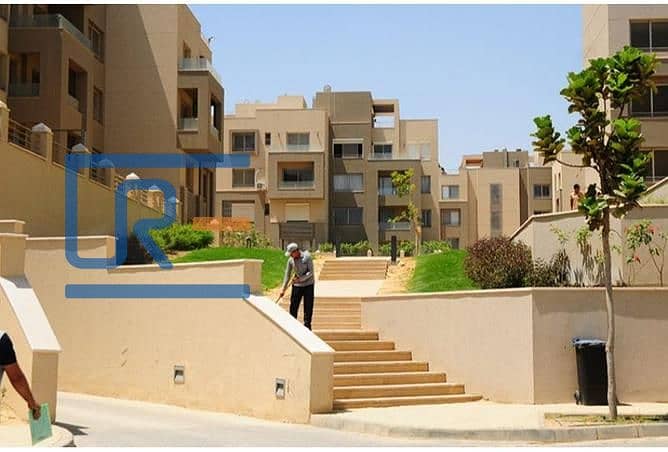 7 2967647-852a3o. jpg