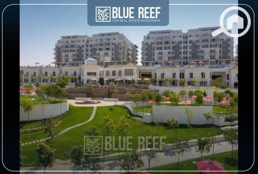 6 WhatsApp Image 2025-05-26 at 4.44. 43 PM (2). jpeg