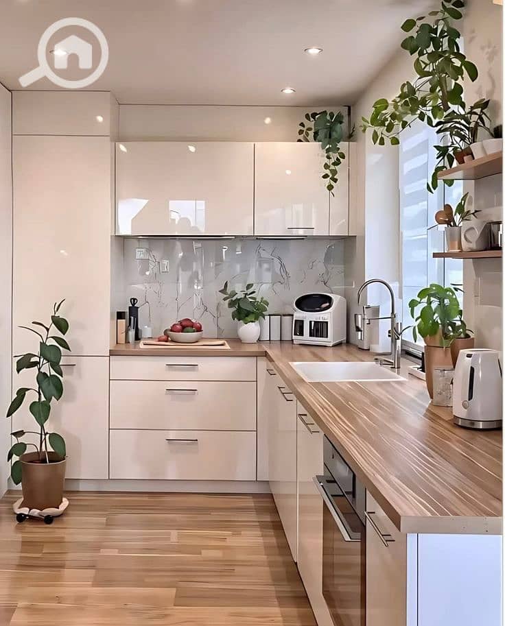 518354327_1078161104506317_6084844854742524168_n. jpg 518354327_1078161104506317_6084844854742524168_n. jpg