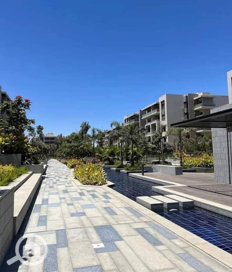 13 532288237_122249031752249099_6485609323238017608_n. jpg