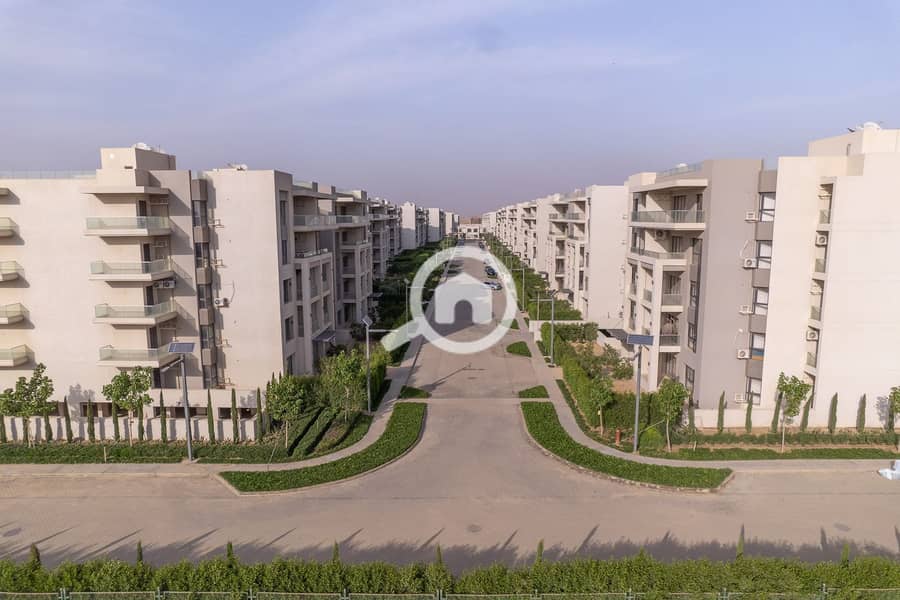 25 b43f67f9-29cd-4265-9986-17dbb0a98659. jpg