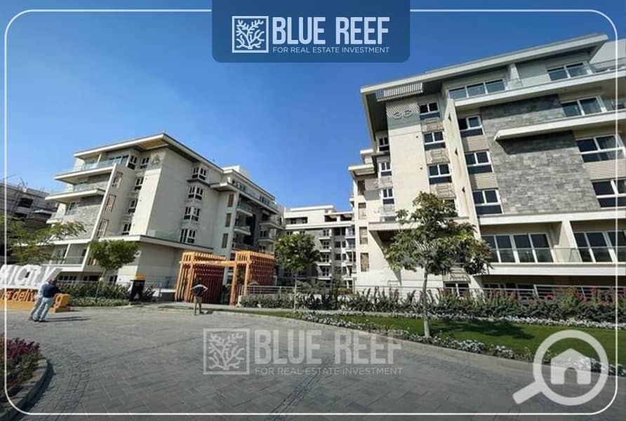 4 WhatsApp Image 2025-10-12 at 4.16. 11 PM (2). jpeg