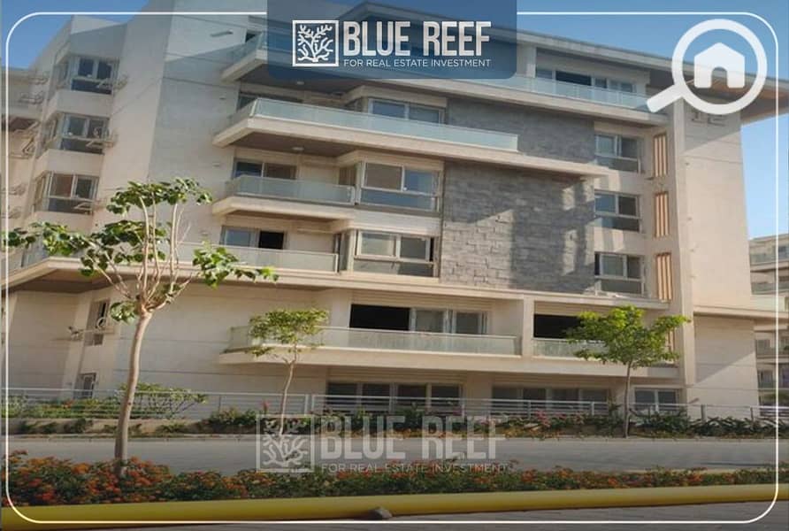 6 WhatsApp Image 2025-10-12 at 4.16. 11 PM. jpeg