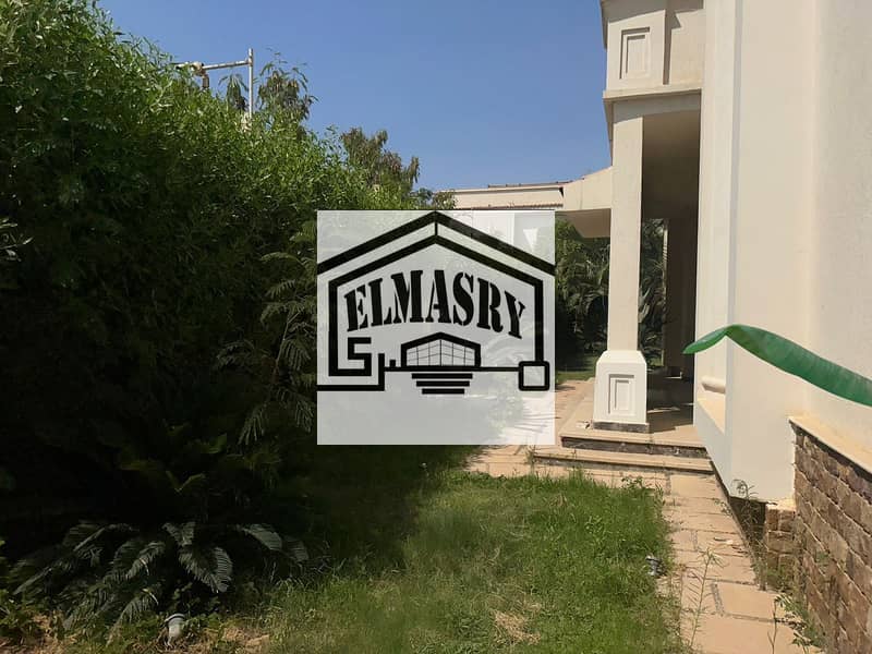 25 cbeefb56-1db8-4dd1-990b-c42be0046e0a. jpeg