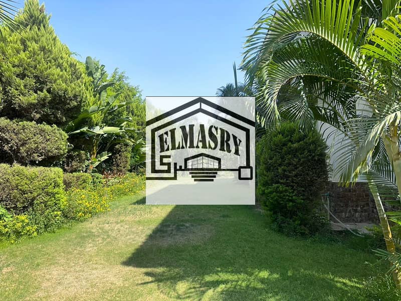 27 d3f9d623-2ba3-4f1d-8b82-80c27c5e5531. jpeg