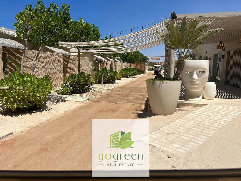 8 c65b8ede-d520-4c64-bad1-7dff92409b03. jpg