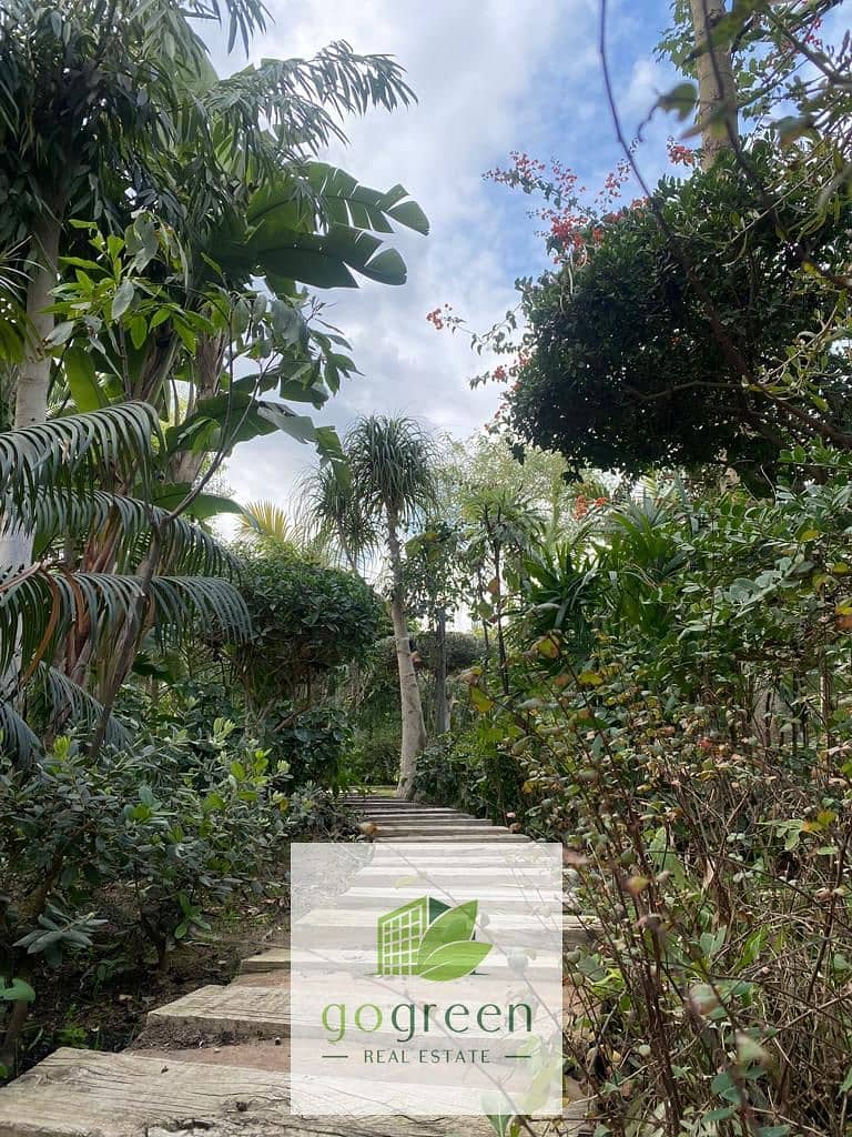 9 c59652ff-cb1f-4cc8-9c07-f7ddab3daba9. jpg