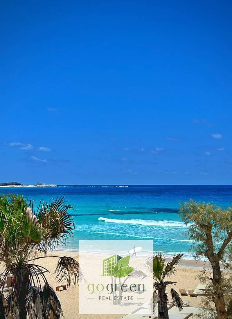 10 d2770c64-c26b-47d4-bfc4-b272fcd08d60. jpg