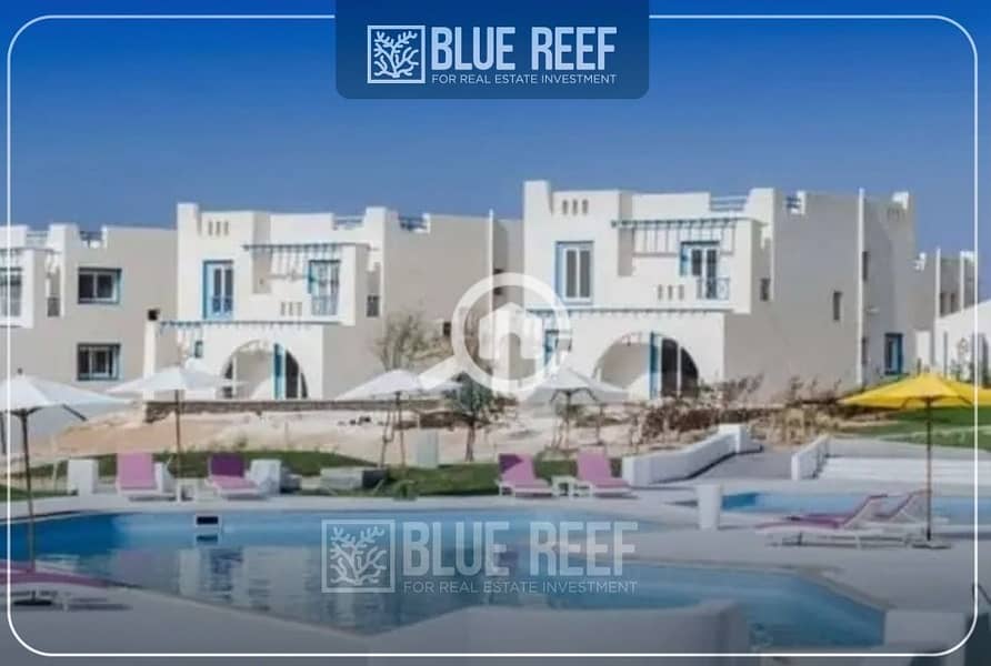 4 WhatsApp Image 2025-02-27 at 2.39. 44 PM (3). jpeg