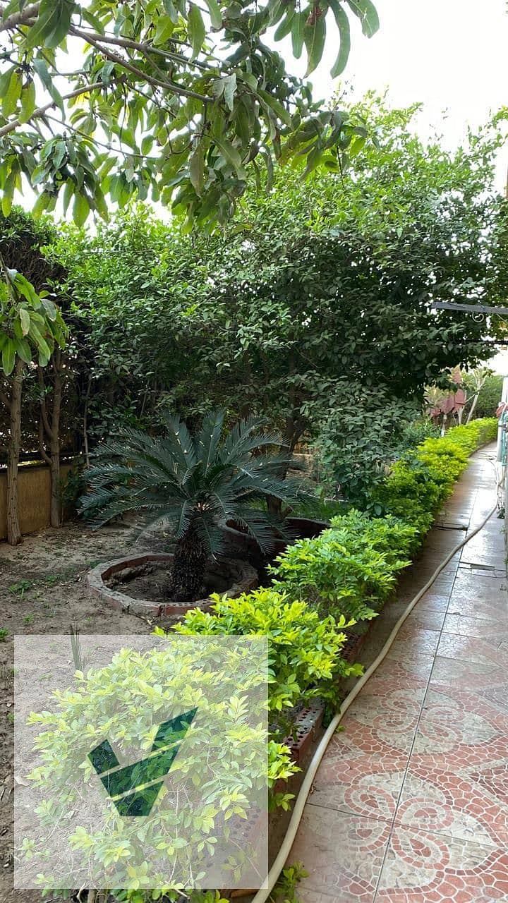 5 WhatsApp Image 2025-11-06 at 12.01. 27 (3) - Copy - Copy. jpeg