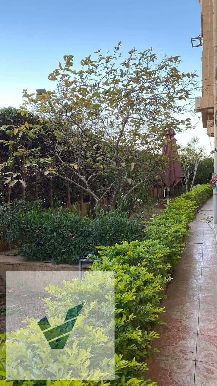 6 WhatsApp Image 2025-11-06 at 12.01. 27 (2) - Copy - Copy. jpeg