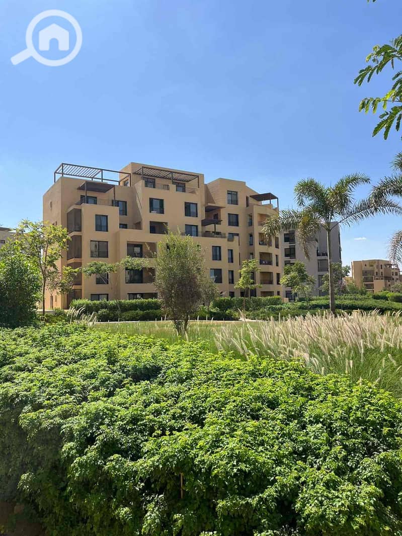 4 09a327cd-5929-4931-aaa9-1381b2d20320. jpg