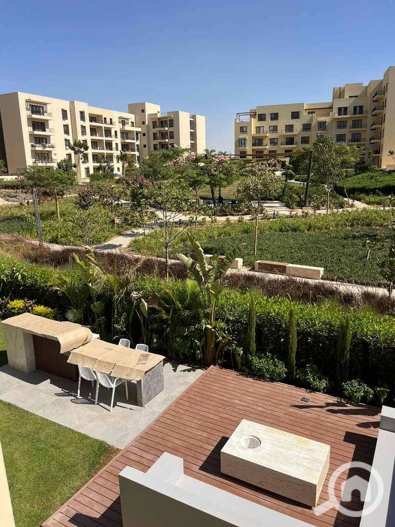 6 c007b997-4ed6-4f13-86d1-3528a2a042ab. jpg