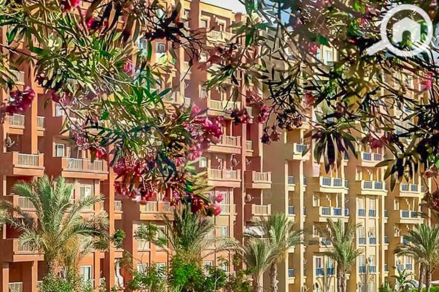 10 WhatsApp Image 2025-05-06 at 12.31. 23 PM (1). jpg