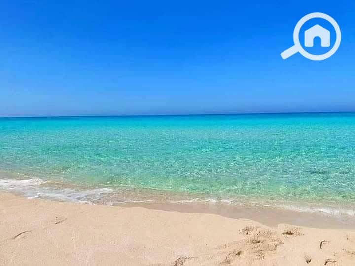 2 WhatsApp Image 2025-11-02 at 1.23. 28 PM. jpeg