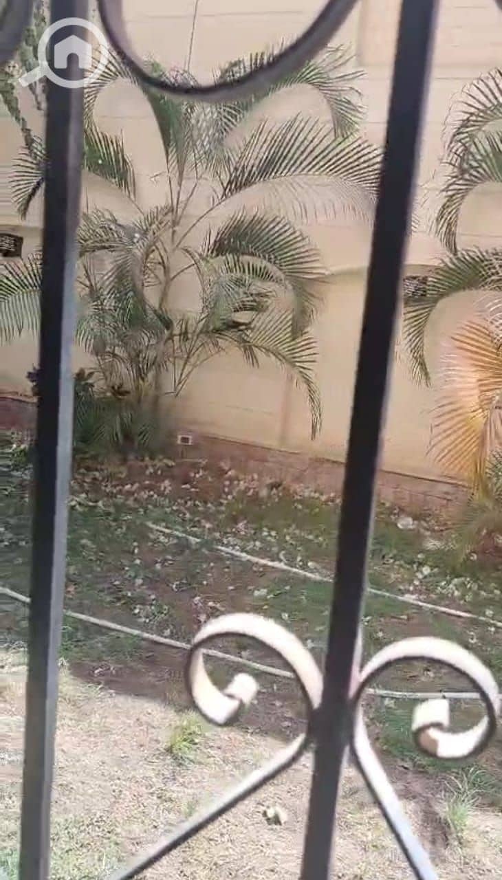 4 WhatsApp Image 2025-11-06 at 12.35. 42_605e3a0d. jpg