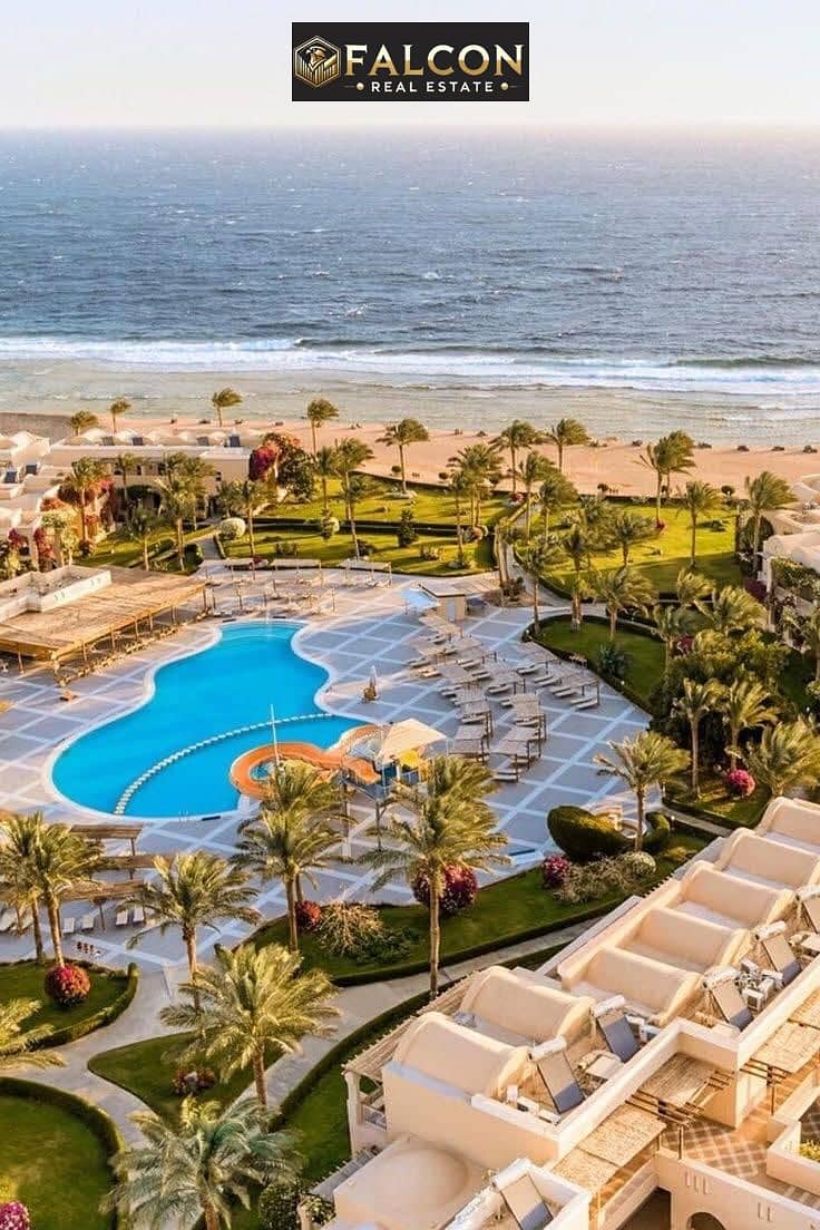 5 86d9e3c0-bbc6-4c59-803c-35b7baa3feb8. jpg