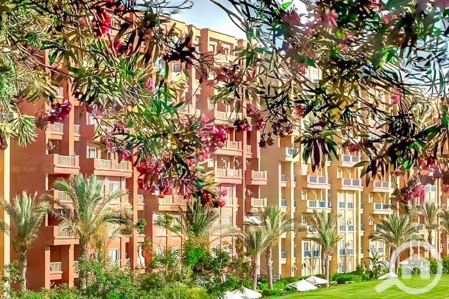 4 WhatsApp Image 2025-05-06 at 12.31. 23 PM (1). jpg