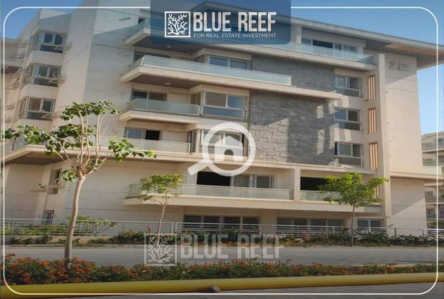 10 WhatsApp Image 2025-10-12 at 4.16. 11 PM. jpeg