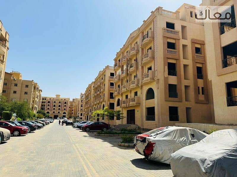 3 WhatsApp Image 2025-11-06 at 1.35. 33 PM. jpeg