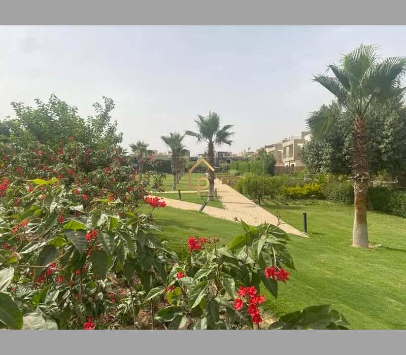 9 547151133_10238845937475353_7961482592052109814_n. jpg