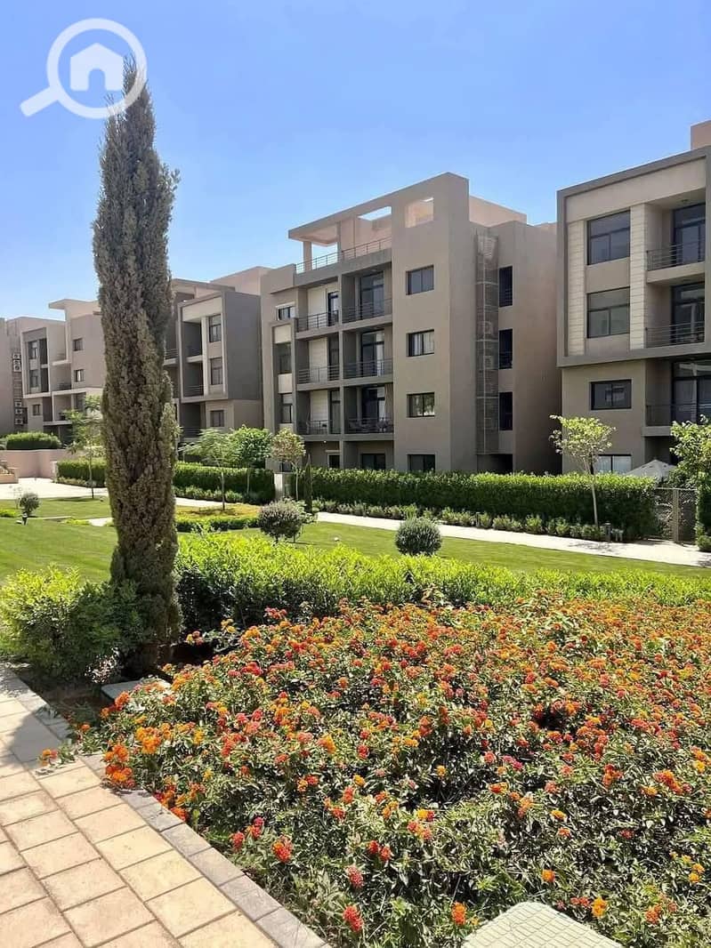 3 526745653_1556280242406965_6611318343253936965_n. jpg