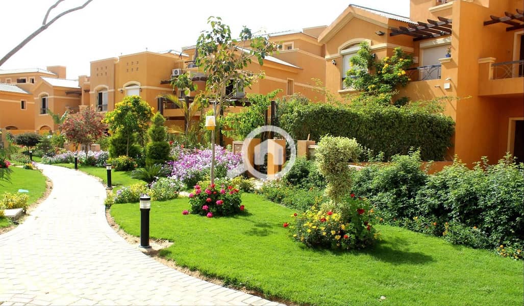 4 WhatsApp Image 2025-06-23 at 10.29. 38_787ad5e8. jpg