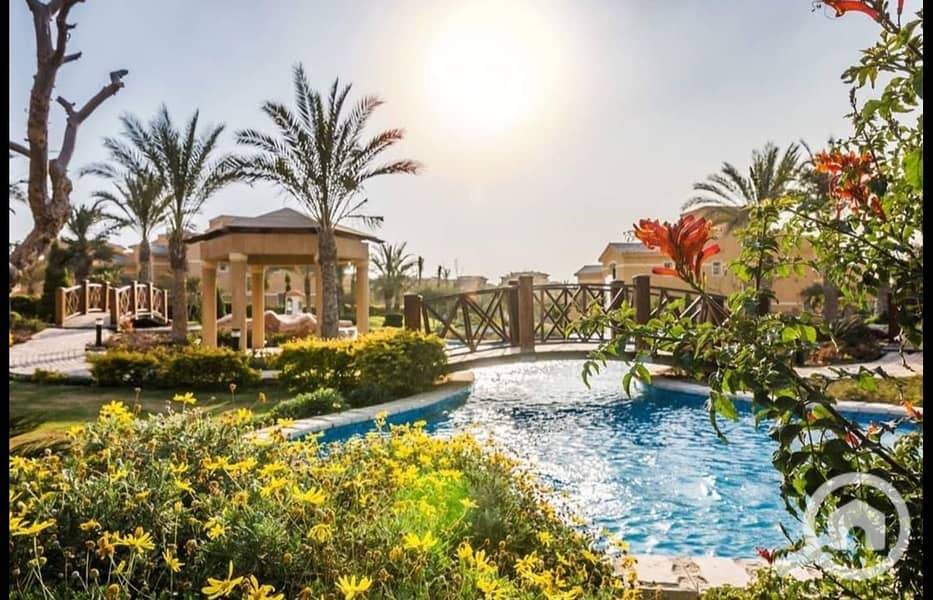 8 452080147_10161658595419074_5597024727053242465_n. jpg