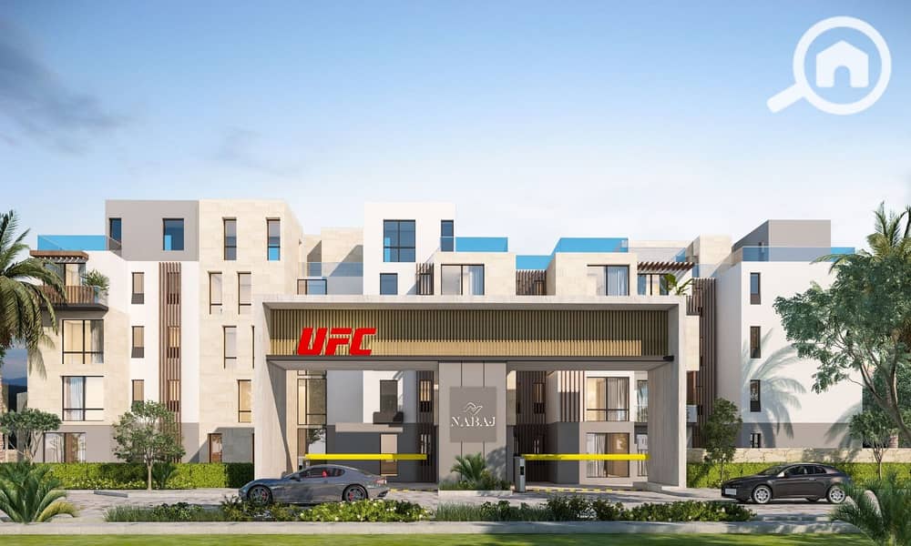 5 WhatsApp Image 2025-10-06 at 15.19. 20_da212ce9. jpg