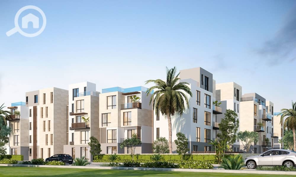 15 WhatsApp Image 2025-10-06 at 15.19. 19_daea48dc. jpg