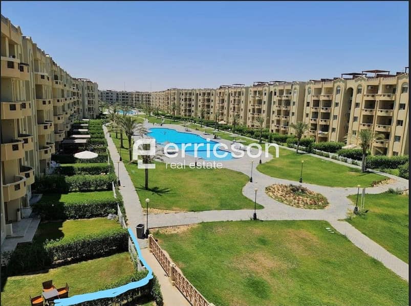 4 484919665_3864297263885305_5897029544885618560_n. jpg