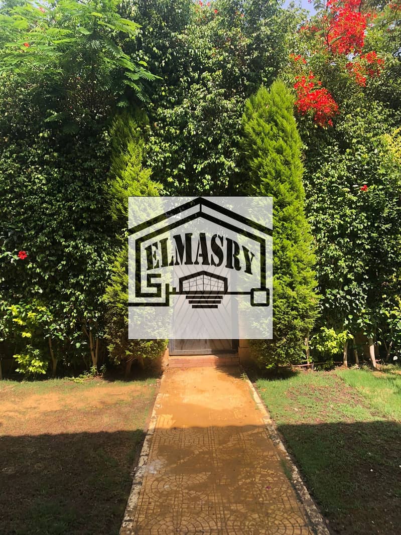 4 f79bef3e-e6d7-45db-aee2-a4c785e52ac6. jpg