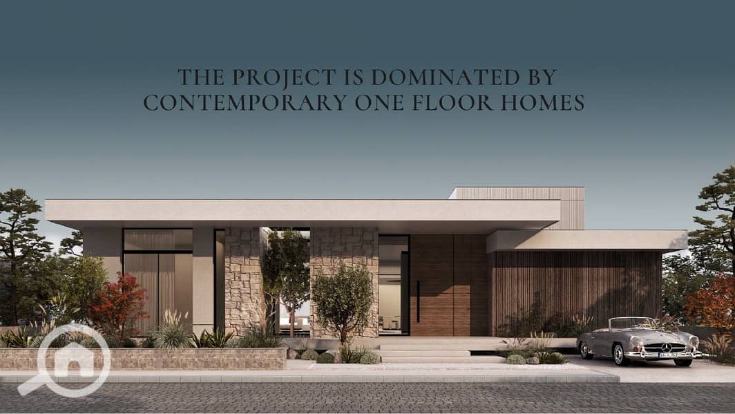 6 WhatsApp Image 2024-08-18 at 13.33. 49_cee1ab1d. jpg