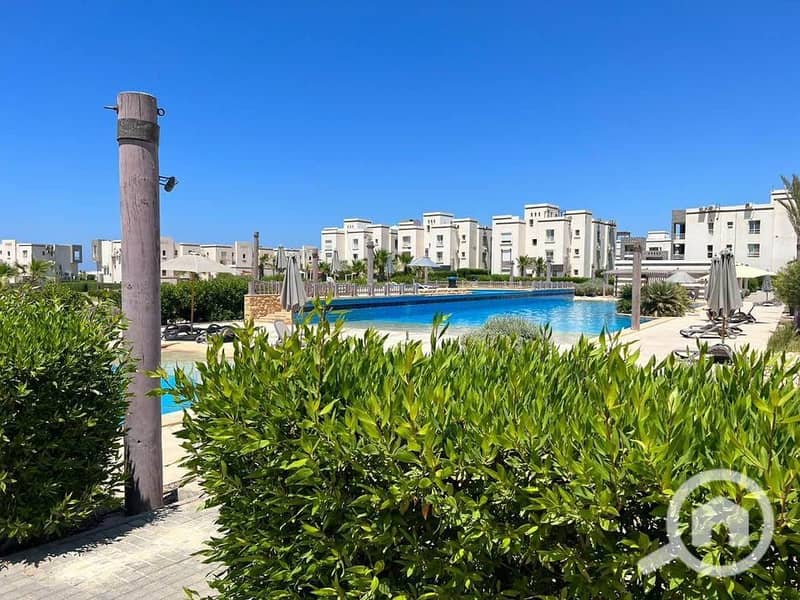 3 WhatsApp Image 2025-10-30 at 1.26. 01 PM (1). jpeg