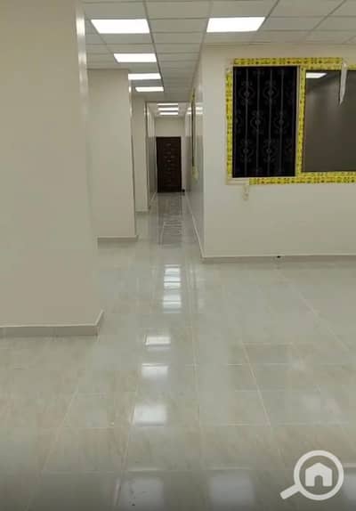مکتب  للايجار في مصر الجديدة، القاهرة - 1000461791. jpg