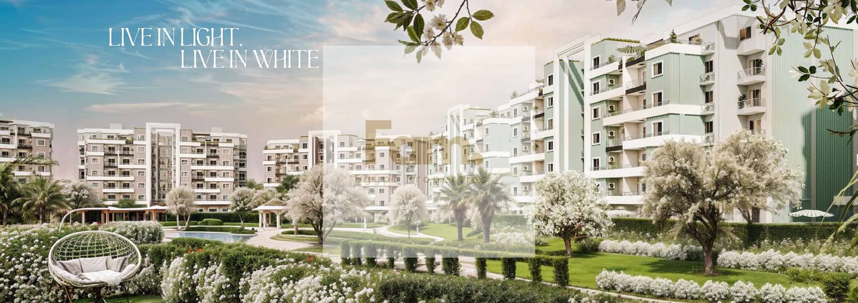 4 Brochure Rock White 2024_page-0007. jpg