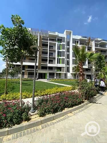 11 pedWoZ4hL59DzjppGYKMaxj9ZzPQWtAQmCLoscR4. jpeg