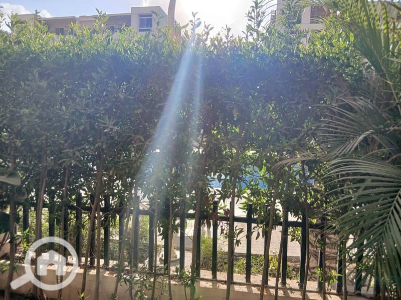 11 a9ccdb96-8342-493c-becd-ad948a658f81. jpeg