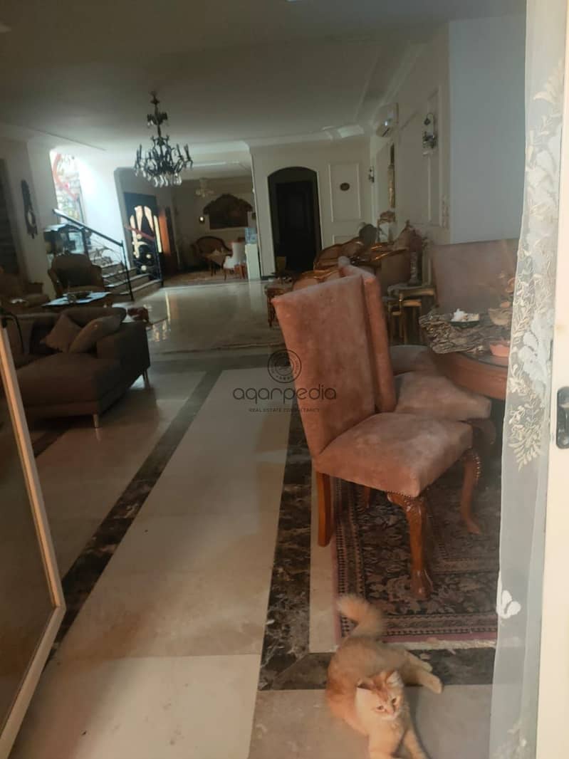 11 WhatsApp Image 2025-10-21 at 4.21. 29 PM. jpeg