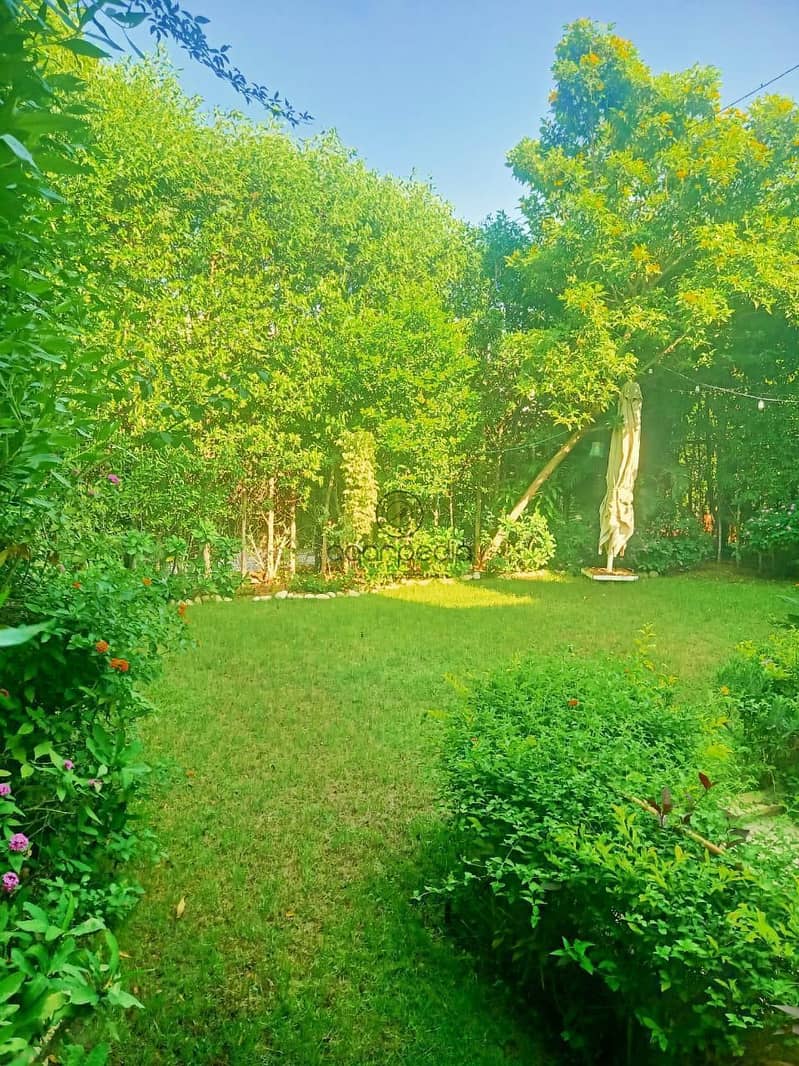 9 WhatsApp Image 2025-10-16 at 1.18. 06 PM (1). jpeg