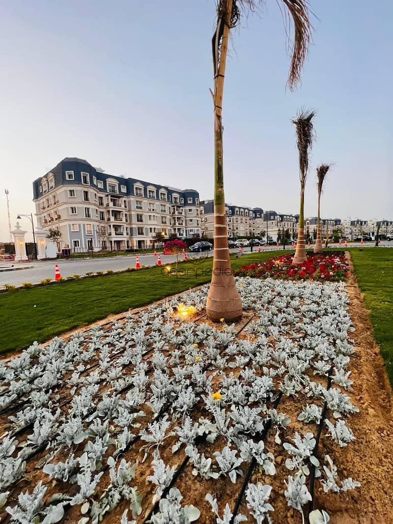 4 WhatsApp Image 2022-07-26 at 7.12. 21 PM (2). jpeg