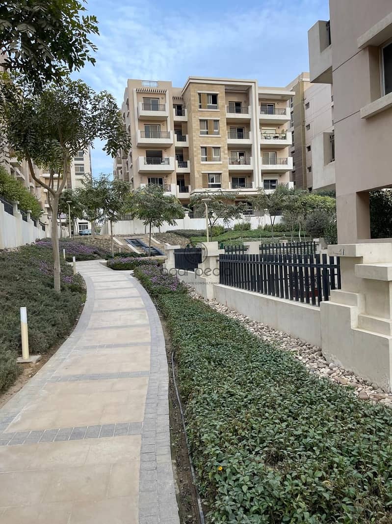 5 WhatsApp Image 2025-10-19 at 4.21. 54 PM. jpeg