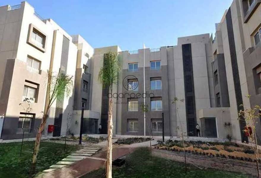 7 62b7ef02-c40e-41dd-882e-01f915f92358. jpg