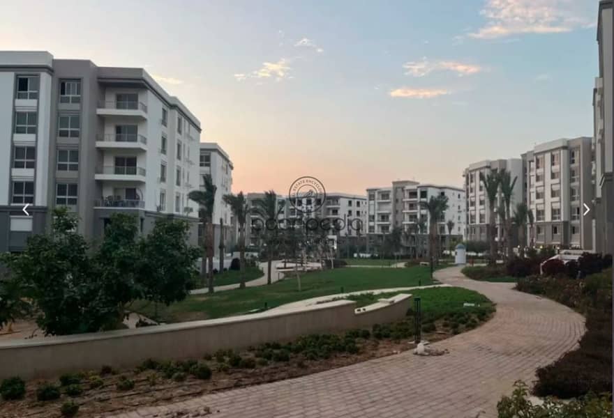 5 1cb18f4e-1e0a-440a-b074-a0ff468f1f8e. jpg