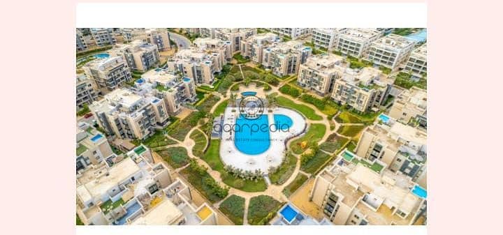 5 44880f3a-4415-45ed-aaed-34e2729affdd. jpeg