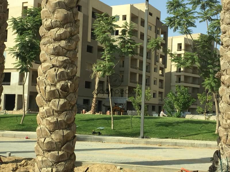 8 WhatsApp Image 2018-10-27 at 11.56. 35 AM. jpeg