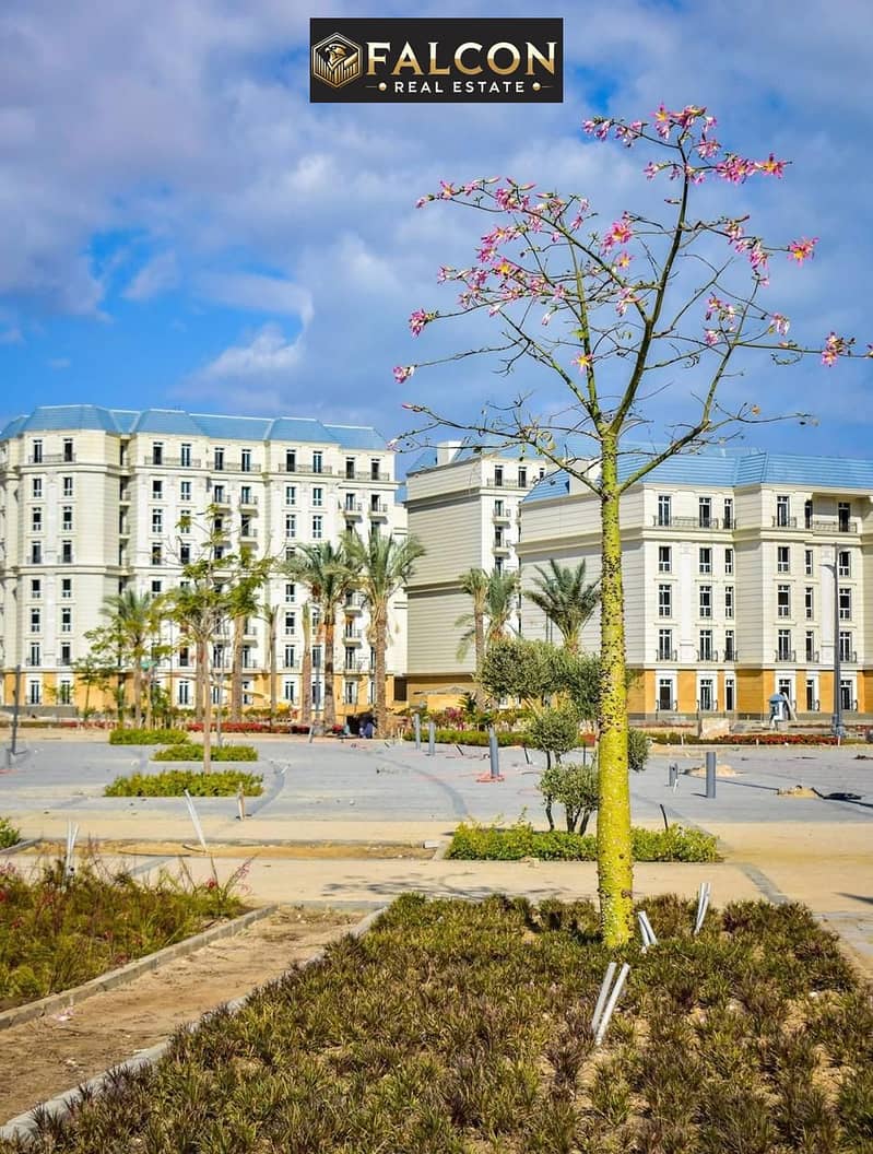 6 WhatsApp Image 2025-10-14 at 4.48. 44 PM (2). jpeg