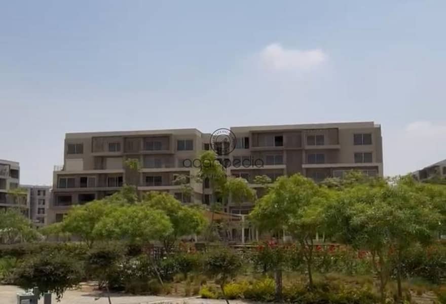 4 7652d829-7f57-4ec1-835d-2e7d469ce289. jpg