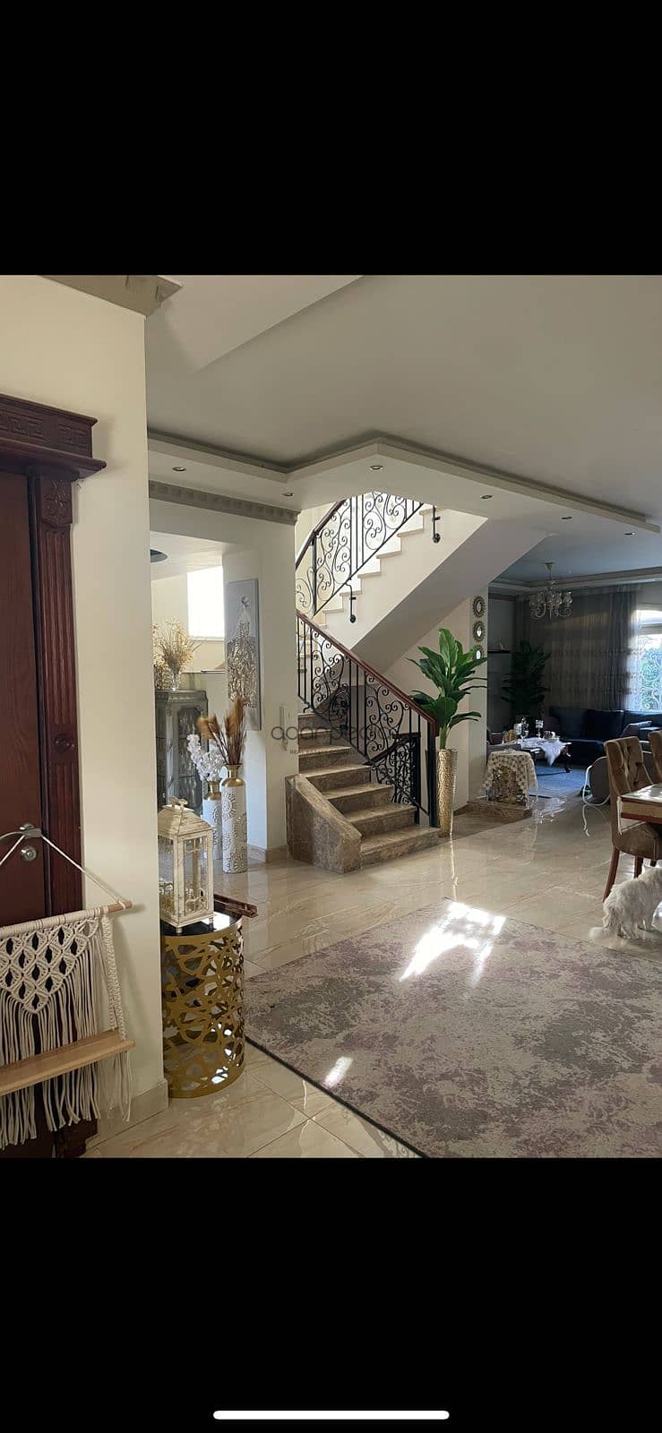 3 WhatsApp Image 2025-09-28 at 12.09. 06 PM. jpeg