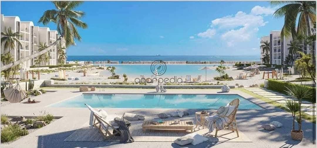 2 WhatsApp Image 2025-02-18 at 4.29. 35 PM (1). jpeg